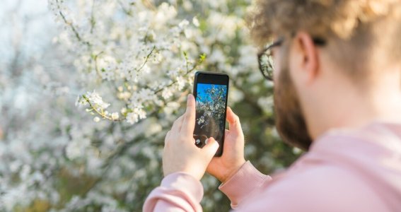 Smartphone Fotografie | Erwachsene | Berlin Smartphone Fotografie | Erwachsene | Berlin