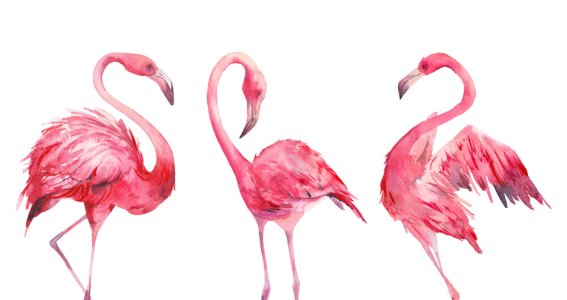Sommerferien-Workshop: Einen pink Flamingo | Erwachsene | München