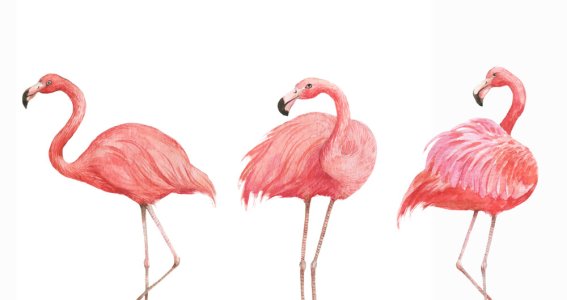 Sommerferien-Workshop: Einen pink Flamingo | Erwachsene | München