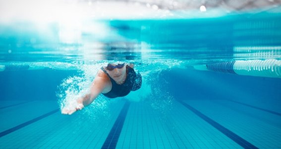 Sommerferien Schwimmkurs: Level 1 Anfänger | Erwachsene | Au-Haidhausen