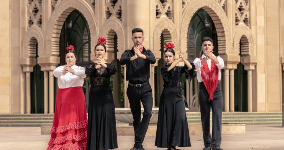 Tanzkurs: Flamenco für Fortgeschrittene | Erwachsene | Centrum