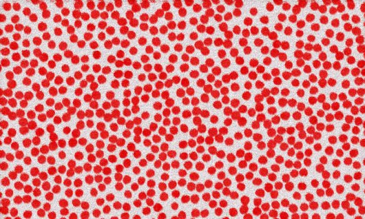 Workshop: Paint Like Yayoi Kusama | Erwachsene | München