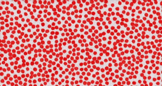Workshop: Paint Like Yayoi Kusama | Erwachsene | München