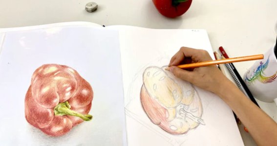 Wintersemester: Grundlagen des Zeichnens Mittwochs | 8  - 17 Jahre | Au-Haidhausen