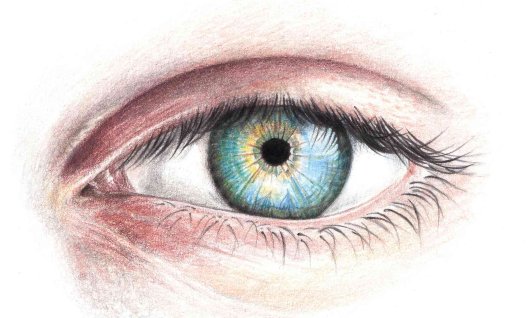 Sommersemester: Grundlagen des Zeichnens Montags | 10  - 17 Jahre | Au-Haidhausen