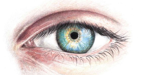 Sommersemester: Grundlagen des Zeichnens Montags | 10  - 17 Jahre | Au-Haidhausen