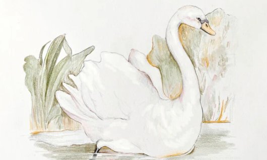 Wintersemester: Grundlagen des Zeichnens Sonntags | 8  - 17 Jahre | Au-Haidhausen