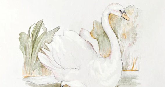 Wintersemester: Grundlagen des Zeichnens Sonntags | 8  - 17 Jahre | Au-Haidhausen