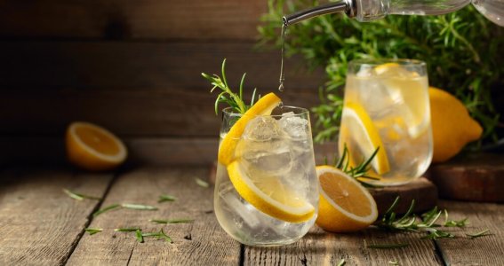 Zum Glück gibt’s Gin | Erwachsene | Innenstadt