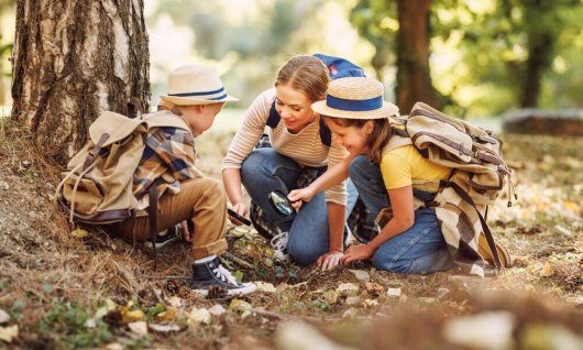 Waldzeit Wildnisschule für Familien | Familie | Oberdollendorf Waldzeit Wildnisschule für Familien | Familie | Oberdollendorf