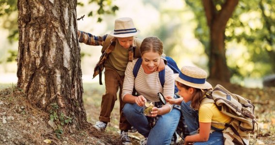 Waldzeit Wildnisschule für Familien | Familie | Oberdollendorf