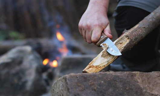 Workshop in Wald und Wiesen  | Erwachsene | Oberdollendorf Workshop in Wald und Wiesen  | Erwachsene | Oberdollendorf