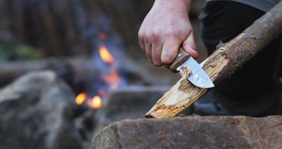 Workshop in Wald und Wiesen  | Erwachsene | Oberdollendorf