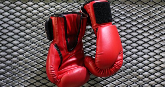 KRAV MAGA BASISSEMINAR | Erwachsene | Thalk.Obersendl.-Forsten-Fürstenr.-Solln