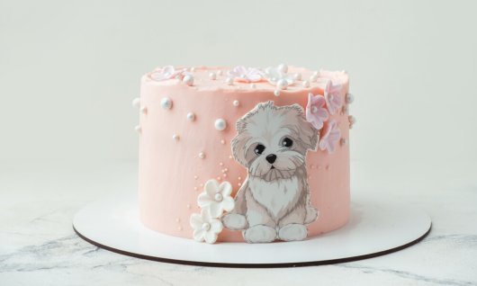 Workshop: Malen auf Fondant Grundkurs | Erwachsene | Online