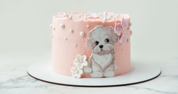 Workshop: Malen auf Fondant Grundkurs | Erwachsene | Online