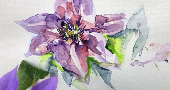 Aquarell Basics ganz einfach - Blumen malen | Erwachsene | München