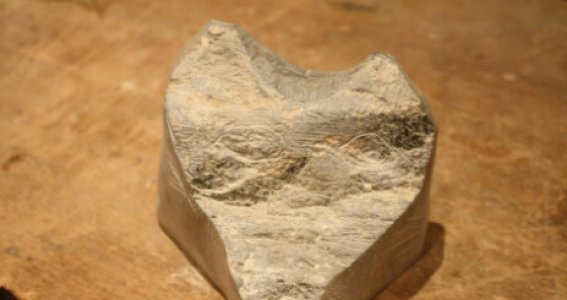 Speckstein | 6  - 99 Jahre | Frechen