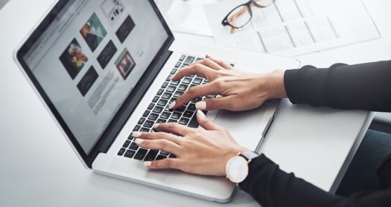 Web Basics 1 | Erwachsene | Online