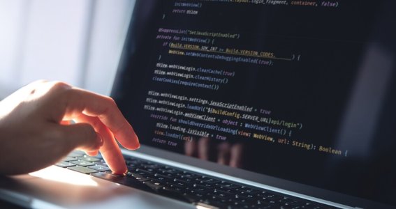 Web Basics 2 | Erwachsene | Online