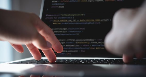 Web Basics 2 | Erwachsene | Online