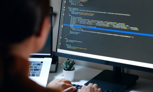 Web Basics  Kompaktkurs | Erwachsene | Online