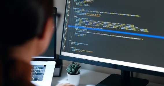 Web Basics  Kompaktkurs | Erwachsene | Online