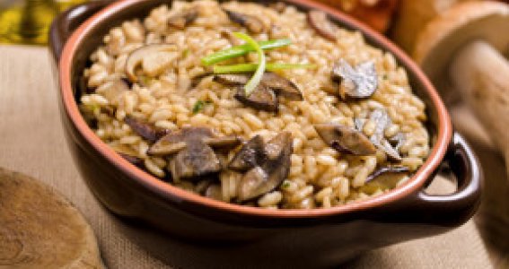 Risotto | Erwachsene | Eching