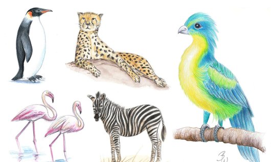 Workshop Kinder mit Eltern: Exotische Tiere zeichn | 8  - 17 Jahre | Au-Haidhausen