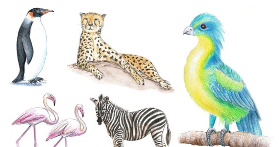 Workshop Kinder mit Eltern: Exotische Tiere zeichn | 8  - 17 Jahre | Au-Haidhausen