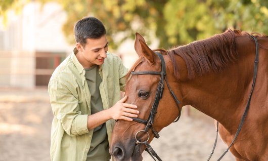 Online-Seminar: Artgerechte Pferdehaltung ohne Rei | Erwachsene | Online