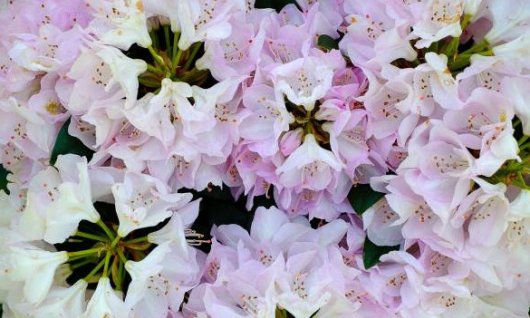 Fuji X Pert Kameratraining | Erwachsene | Altstadt-Lehel