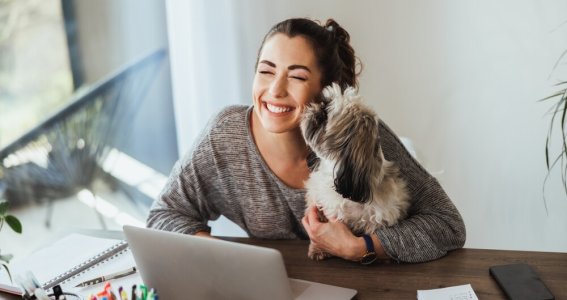 Online Seminar: Hunde artgerecht im Alltag halten | Erwachsene | Online
