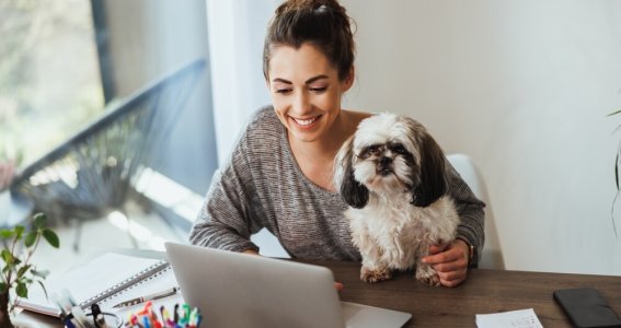 Online Seminar: Hunde artgerecht im Alltag halten | Erwachsene | Online