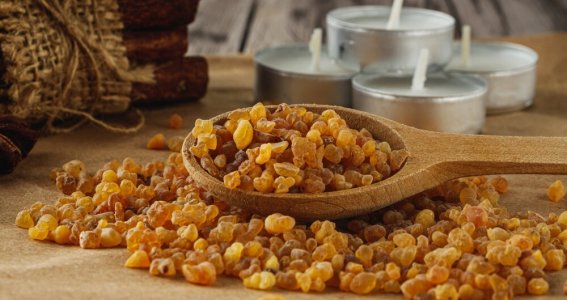 Naturkosmetik Workshop: Weihrauchkraft | Erwachsene | Düsseldorf