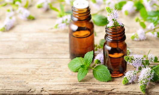 Workshop: Destillieren lernen | Erwachsene | Ehrenfeld