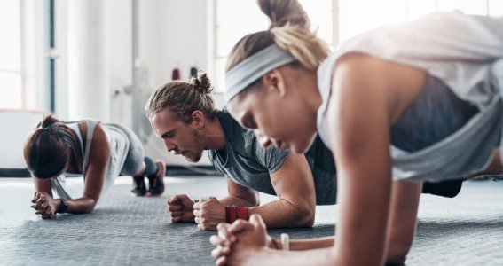 A²Flow Animal Flow®: Gruppenkurs vor Ort | Erwachsene | Lindenthal