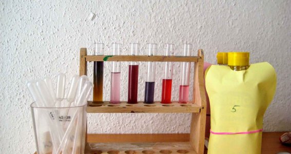 Experimentierkurse für Kinder  | 8  - 10 Jahre | Lochham