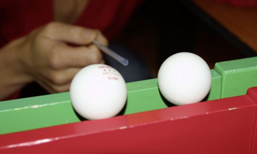 Forschergeburtstage für Kinder | 4  - 12 Jahre | Lochham