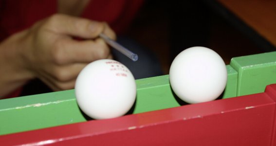 Forschergeburtstage für Kinder | 4  - 12 Jahre | Lochham