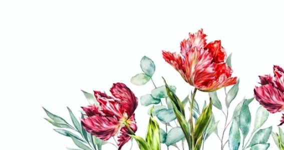 Workshop: Aquarellmalerei für Einsteiger | Erwachsene | Oberbilk