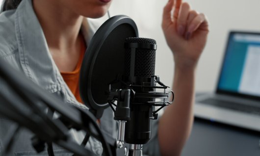 Weihnachtsspecial Synchronsprechen | Erwachsene | Online