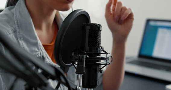 Weihnachtsspecial Synchronsprechen | Erwachsene | Online