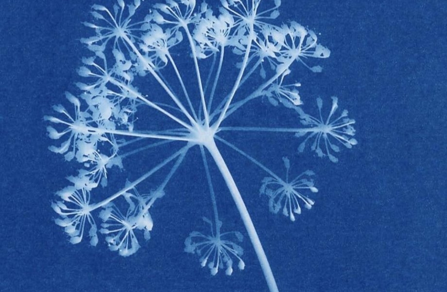 Wochenend-Kurs: BLAUDRUCK/GELPRINT | 14  - 99 Jahre | Bogenhausen